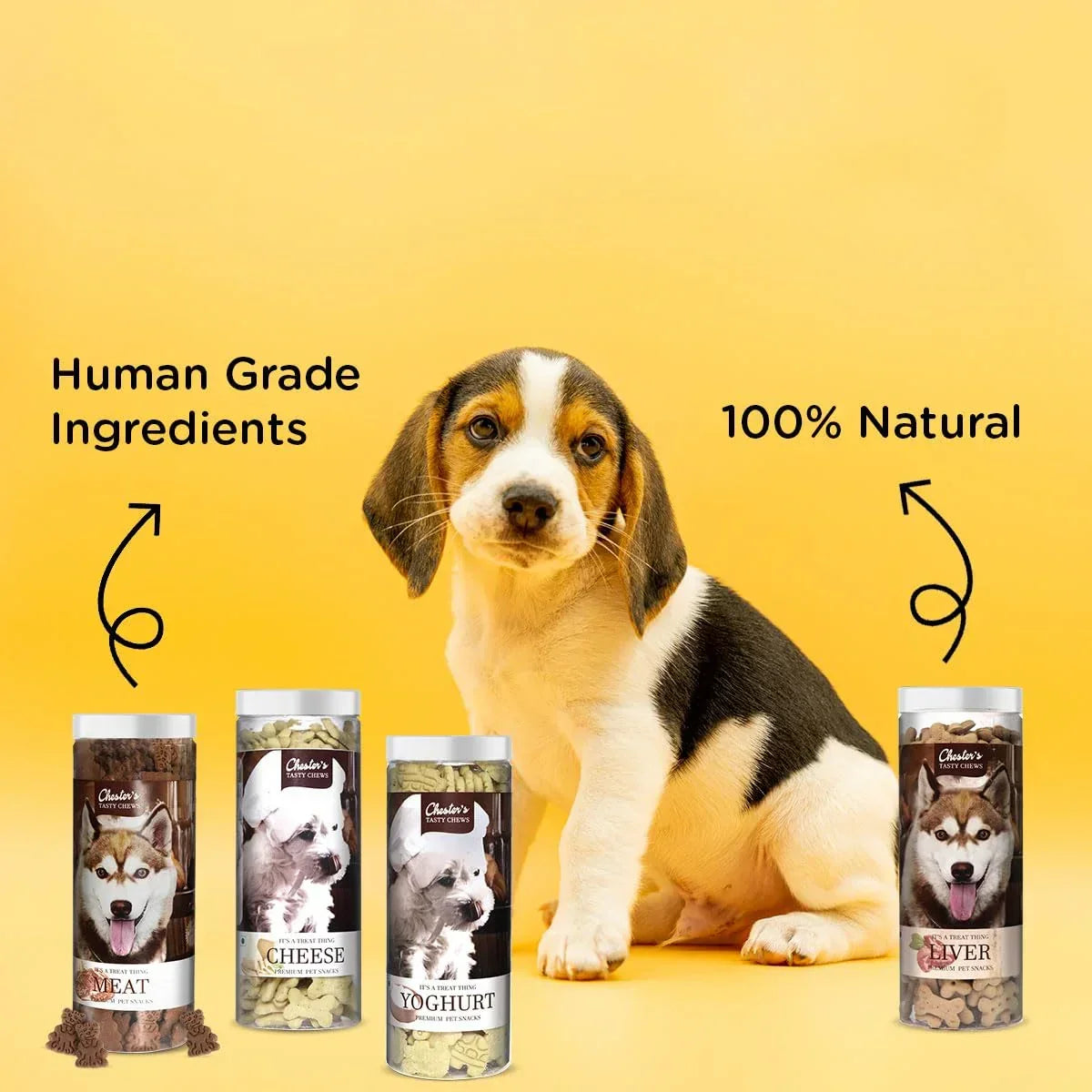 Chesters Tasty Chews Yogurt Flavour Dog Biscuit 700g - Zigly