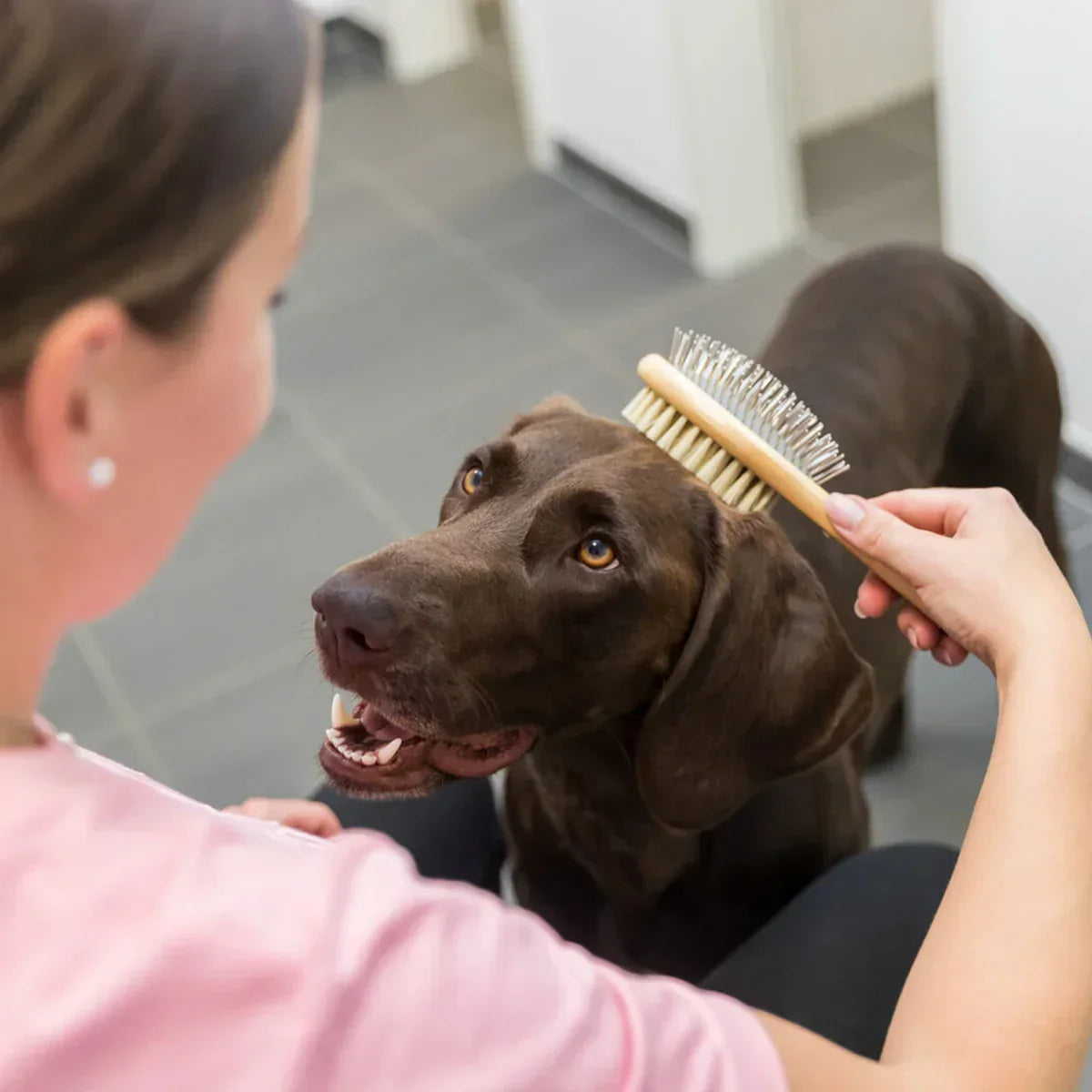 Trixie Brush Double-Sided Bamboo/Natural & Wire Bristles - Zigly