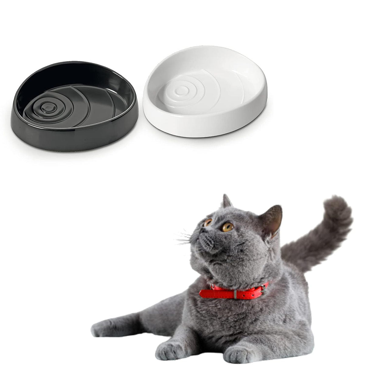 Savic Whisker Water Functional Cat Water Bowl - Assorted Colors - Zigly