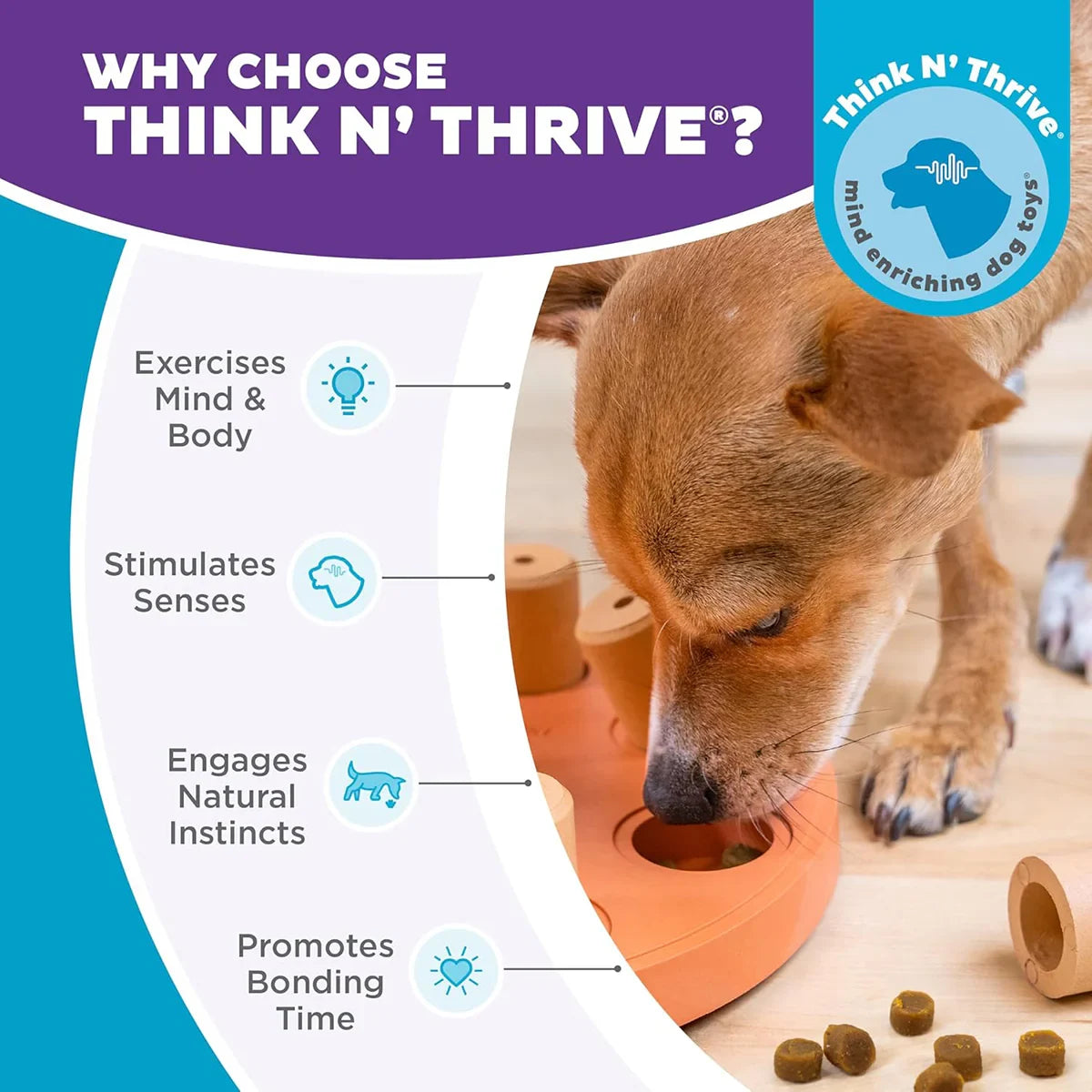 Outward Hound Smart Composite Interactive Dog Toy - 23cm - Orange - Zigly