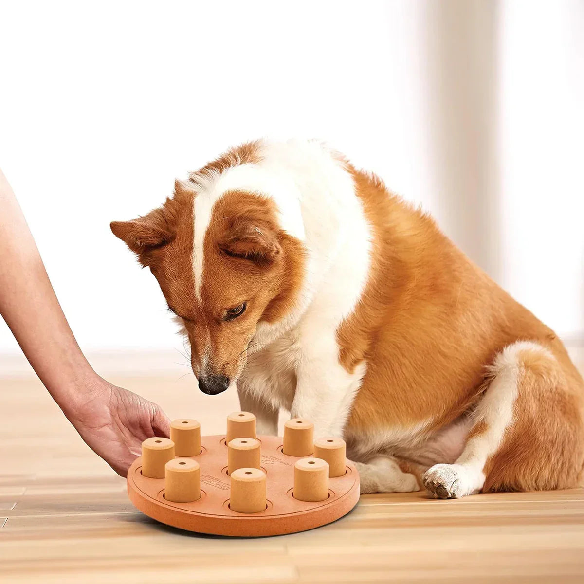 Outward Hound Smart Composite Interactive Dog Toy - 23cm - Orange - Zigly