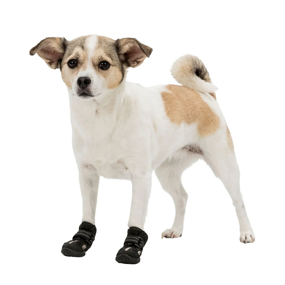 Trixie Walker Active Protective Boots 2 Pcs Black - Zigly