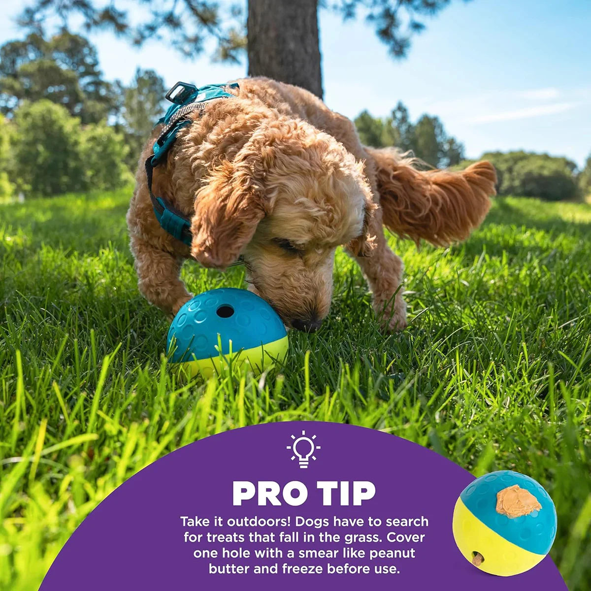 Outward Hound Nina Ottosson Treat Tumble Ball Dog Toy - Large - Zigly