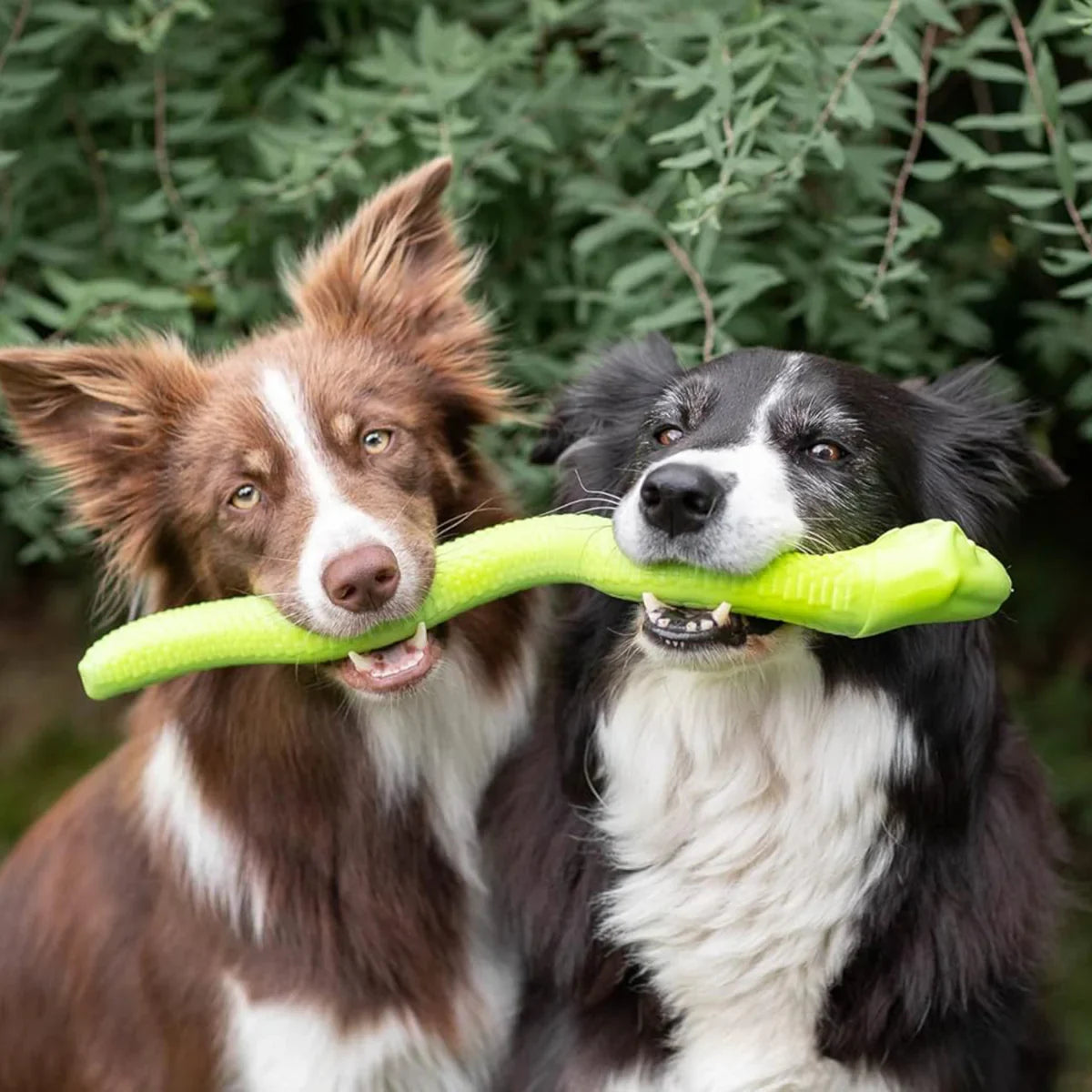 Trixie Thermoplastic Rubber Snack Snake Dog Toy - 42 cm - Zigly
