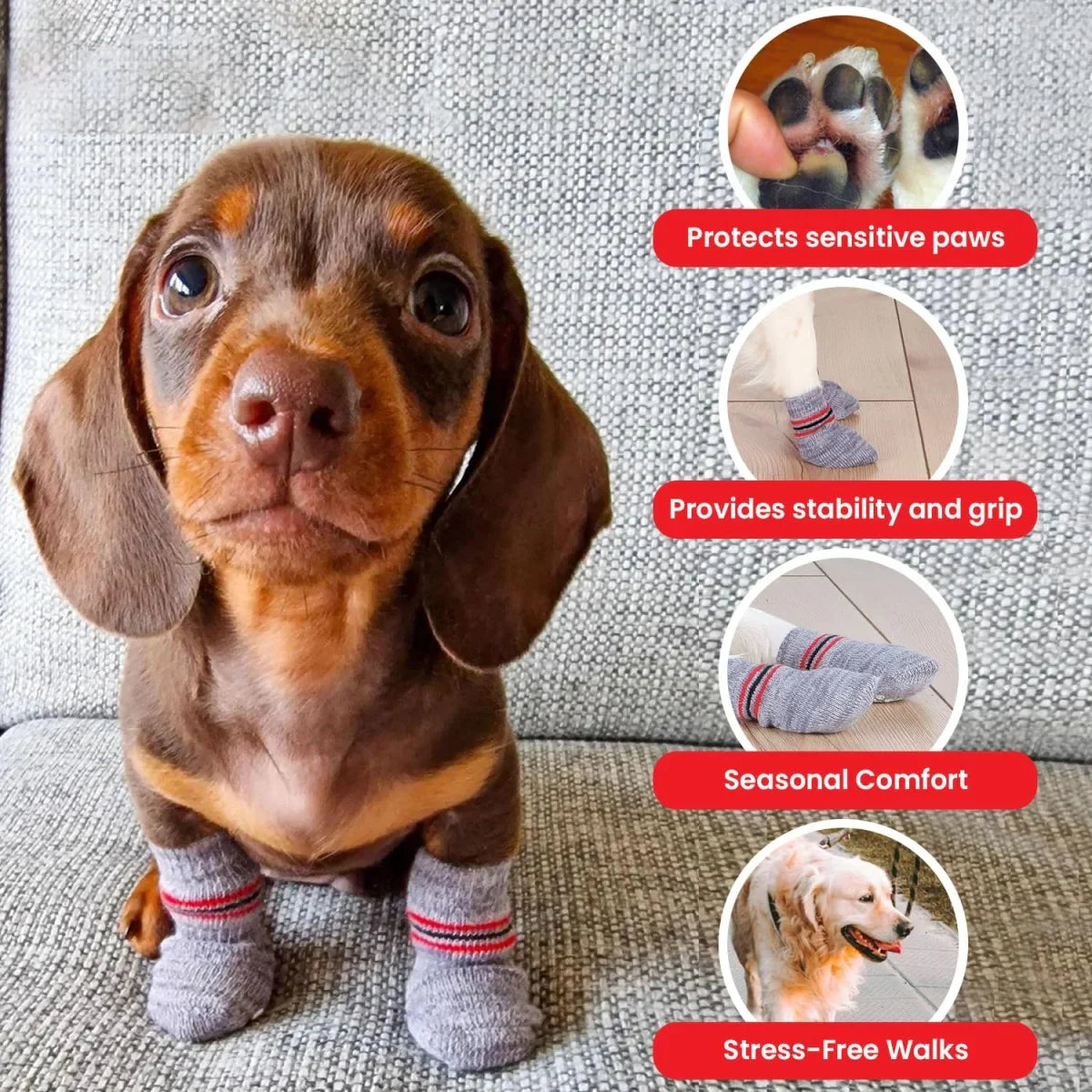 Trixie Non-Slip Socks for Dogs - Grey - 1 Pair - Zigly