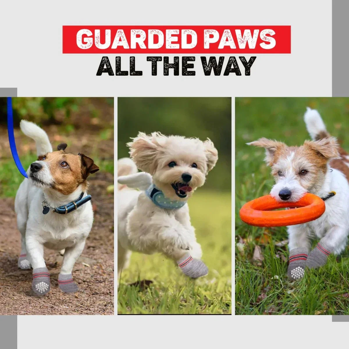 Trixie Non-Slip Socks for Dogs - Grey - 1 Pair - Zigly