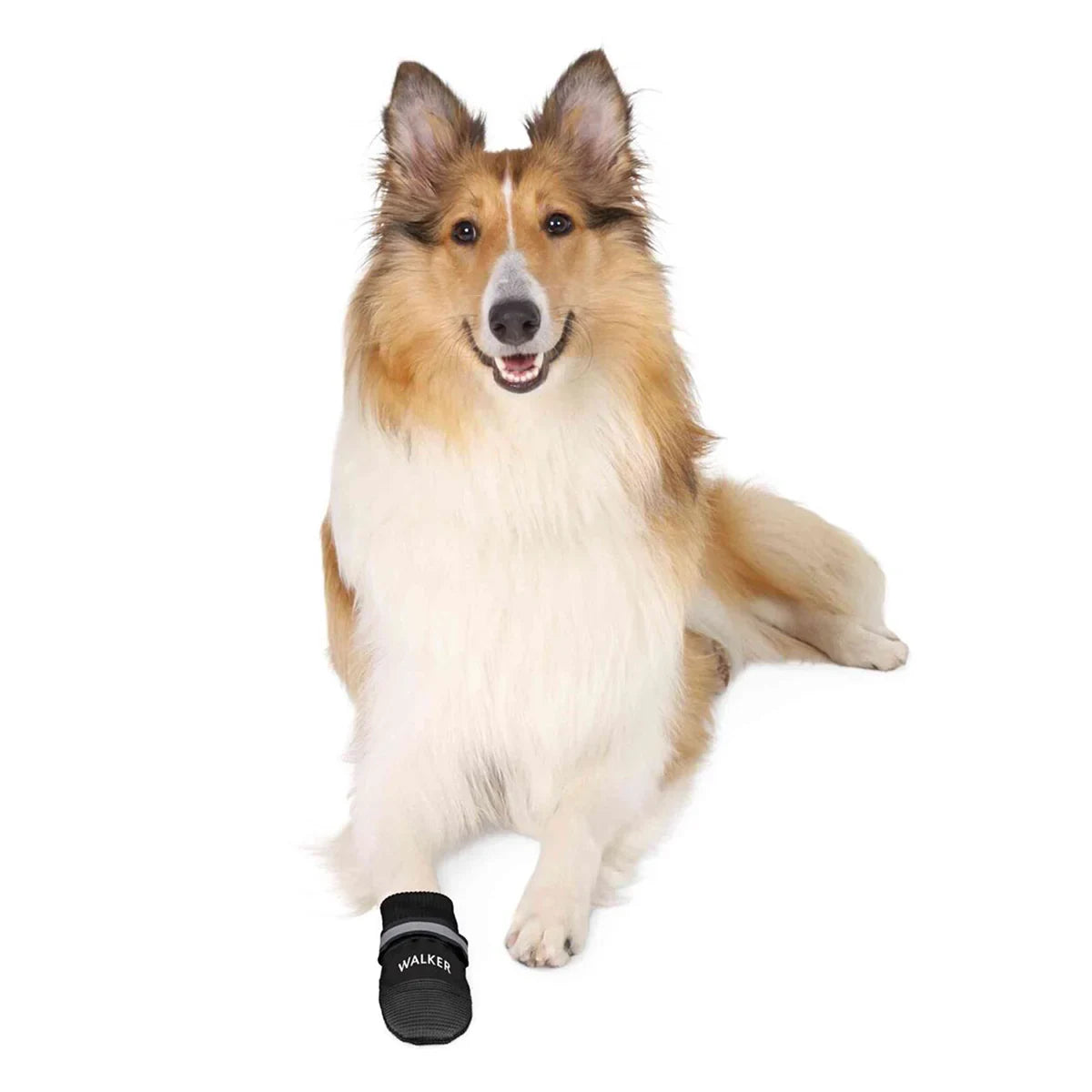 Trixie Walker Care Comfort Protective Boots For Dogs - Black - 1 Pair (2 Boots Only) - Zigly