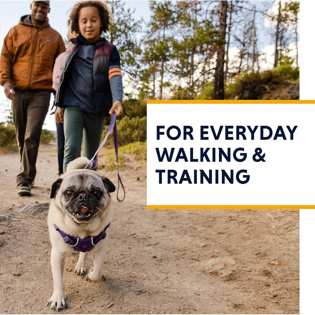 Ruffwear Front Range Harness Purple Sage - Large/Xlarge - Zigly