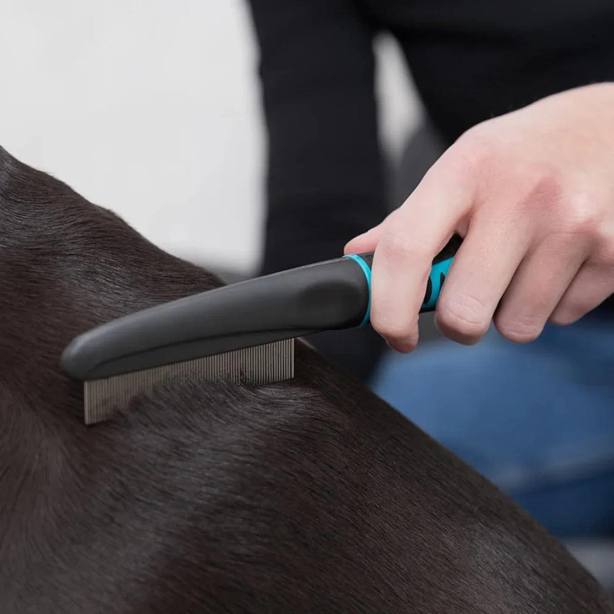 Trixie Flea and Dust Comb For Dog/Cat - 21cm - Zigly