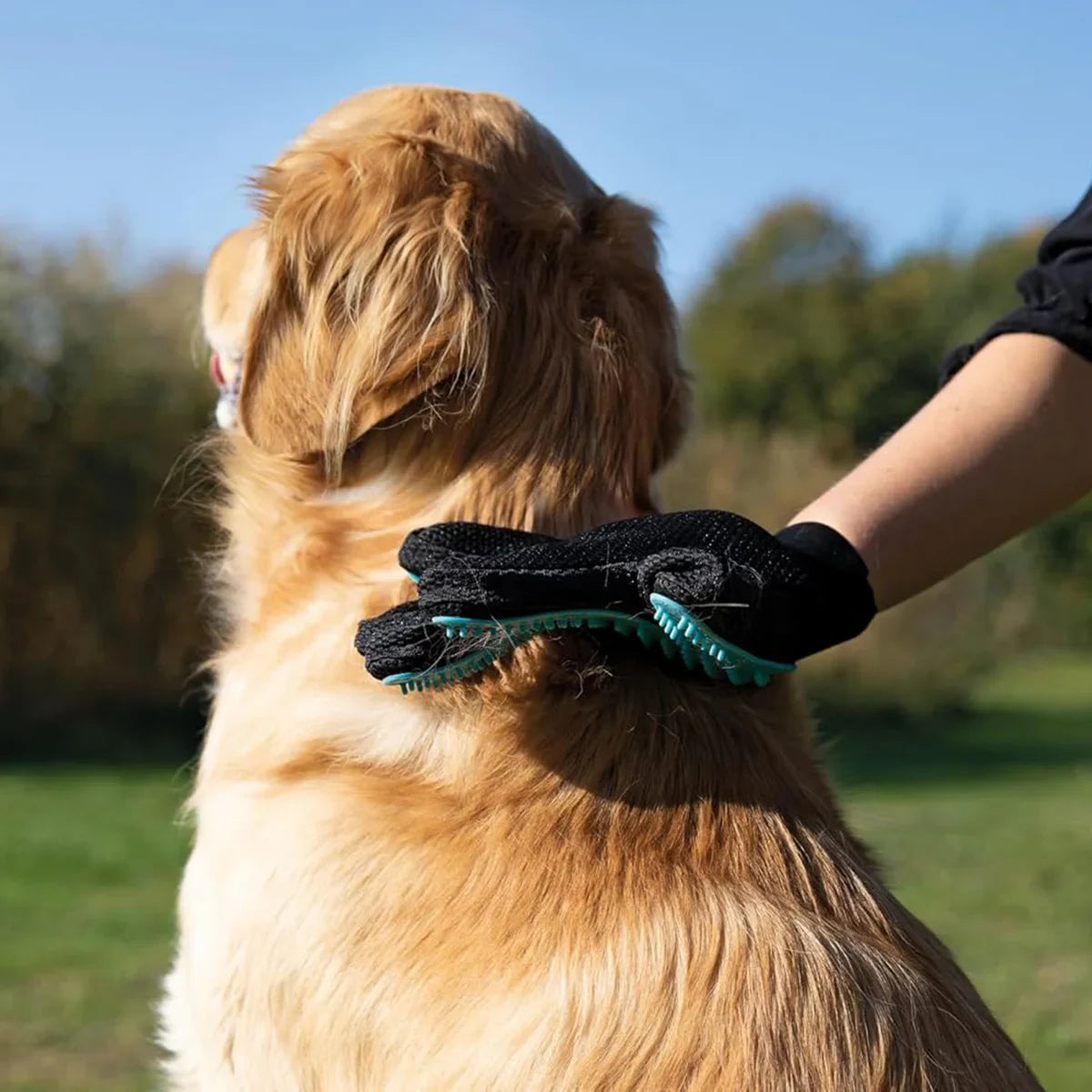 Trixie Fur Care Glove for Dog/Cat - Zigly