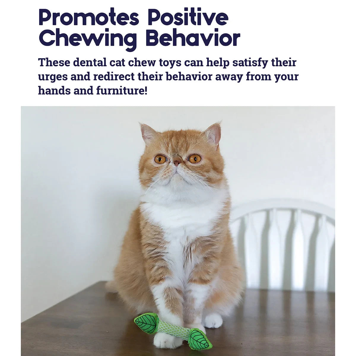 Outward Hound Fresh Breath Mint Stick Cat Toy - 11cm - Zigly