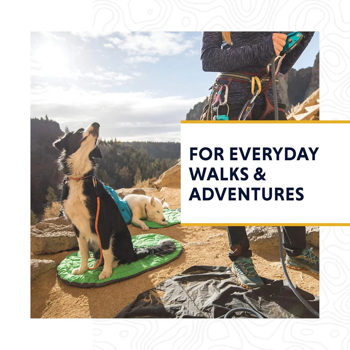 Ruffwear Knot a Leash Blue Atoll - Zigly