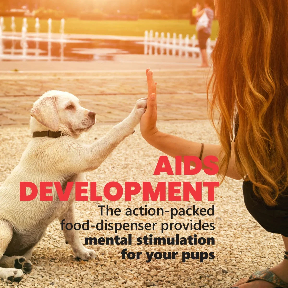 Kong Wobbler Treat Dispensing Interactive Dog Toy - Red - Zigly