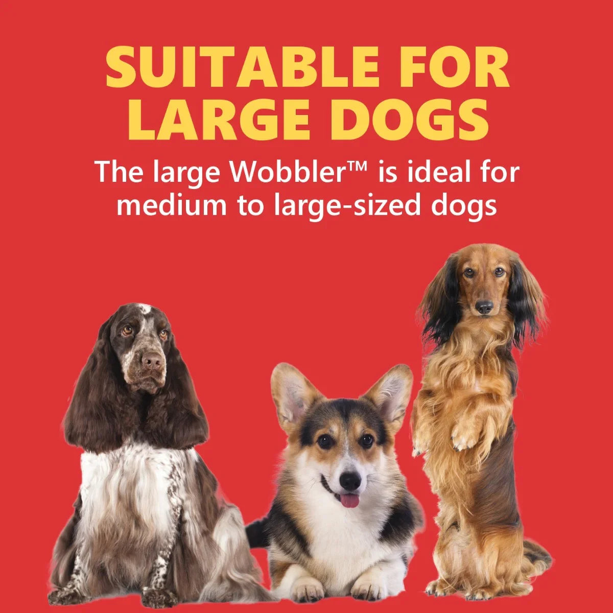 Kong Wobbler Treat Dispensing Interactive Dog Toy - Red - Zigly