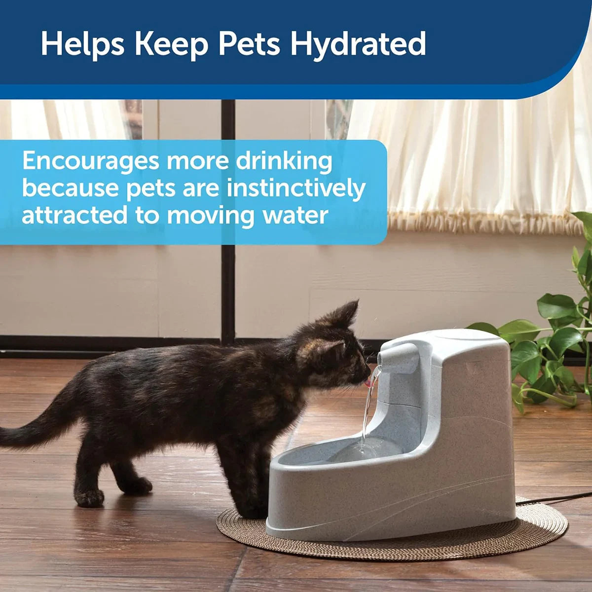 Drinkwell Mini Pet Fountain For Small Dogs & Cats - Zigly