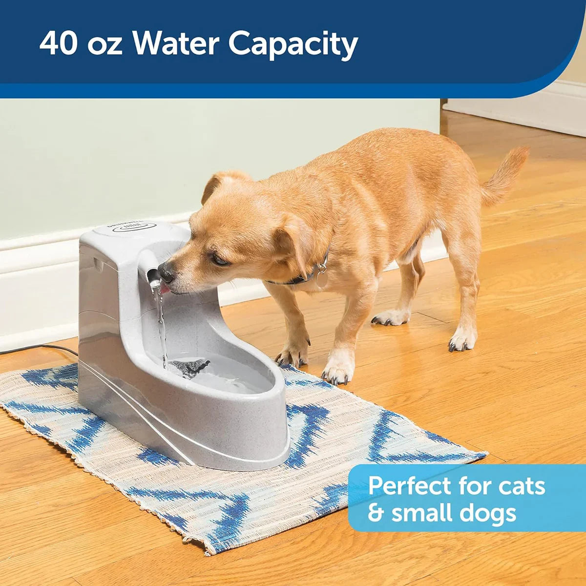 Drinkwell Mini Pet Fountain For Small Dogs & Cats - Zigly