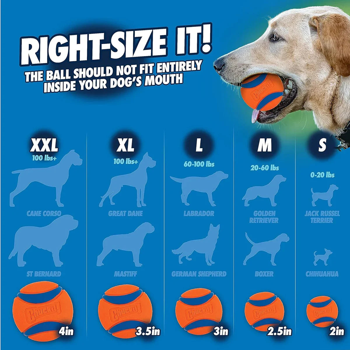 Chuckit! Sport Ball Launcher  Assorted Colours  25 inch length - Zigly