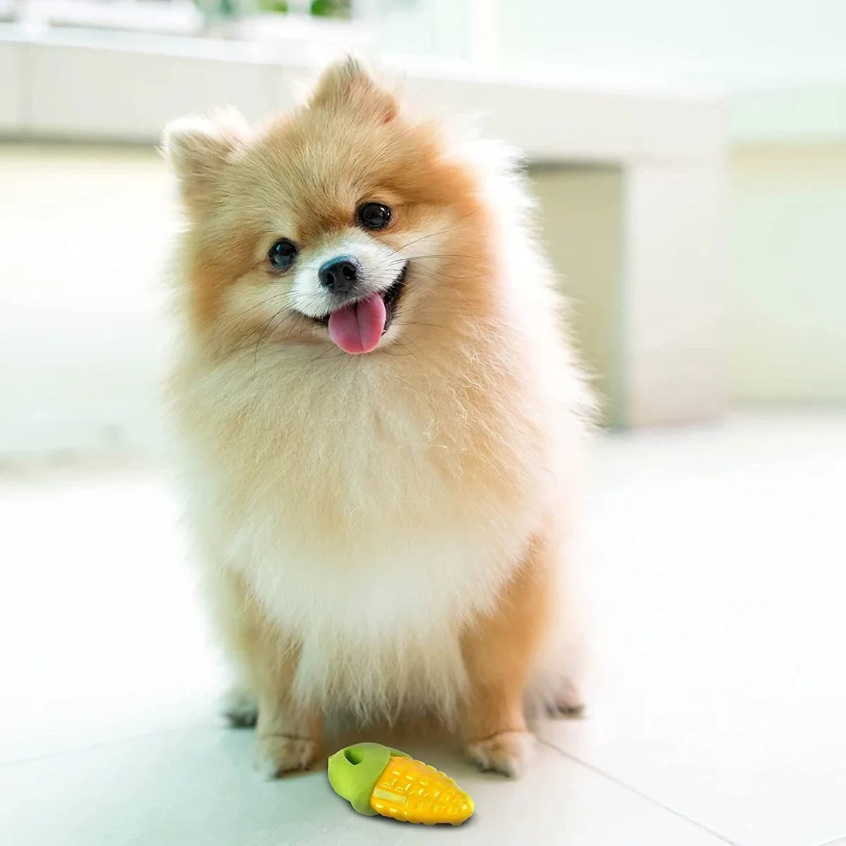 Fofos Vegi-Bites Corn Squeaky Chew Dog Toy - Small - Zigly