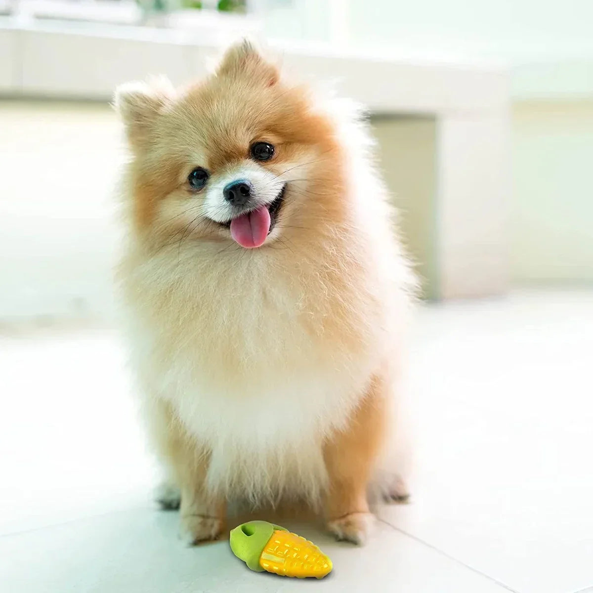 Fofos Vegi-Bites Corn Squeaky Chew Dog Toy - Small - Zigly