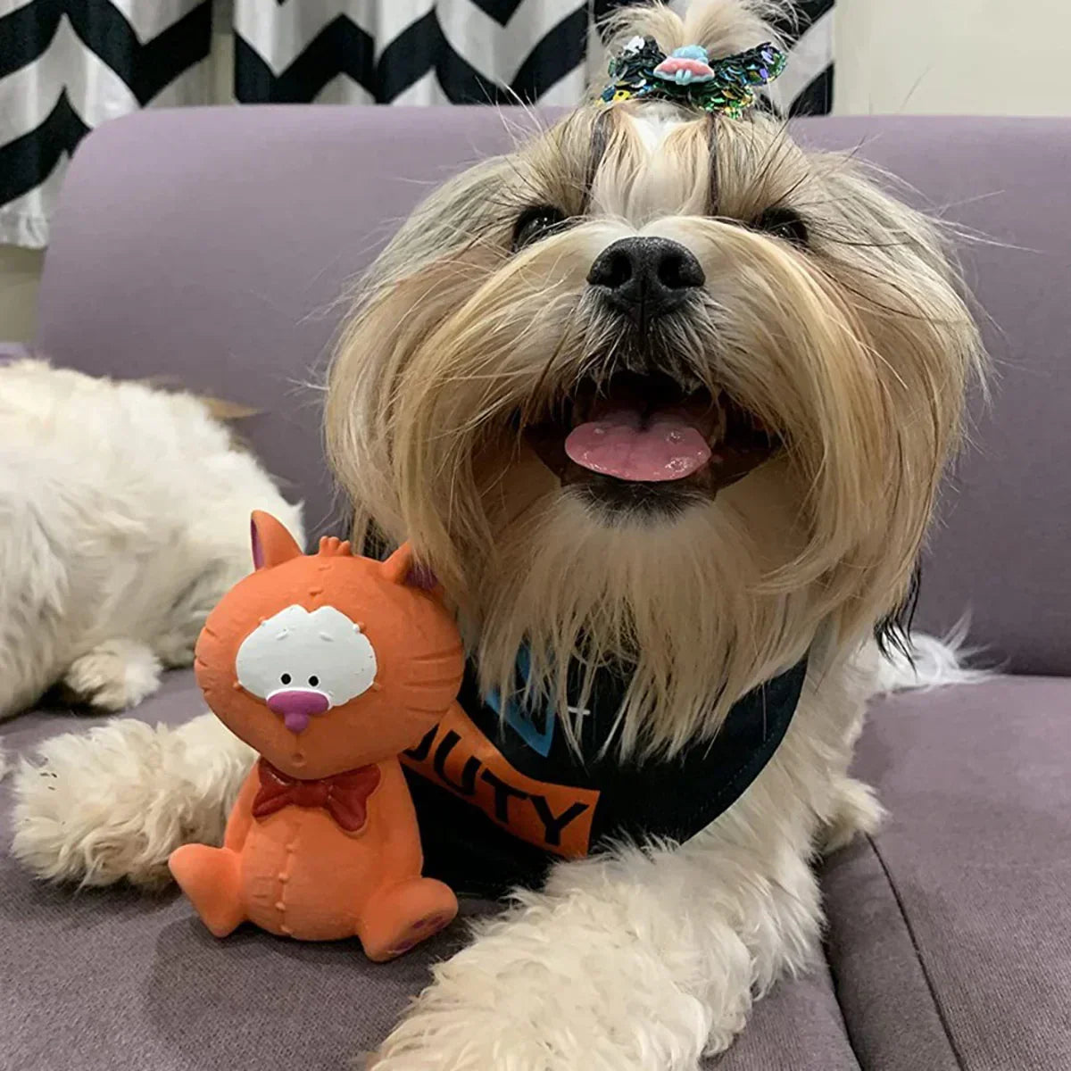 Fofos Latex Bi Cat Squeaky Dog Toy - Small - Zigly