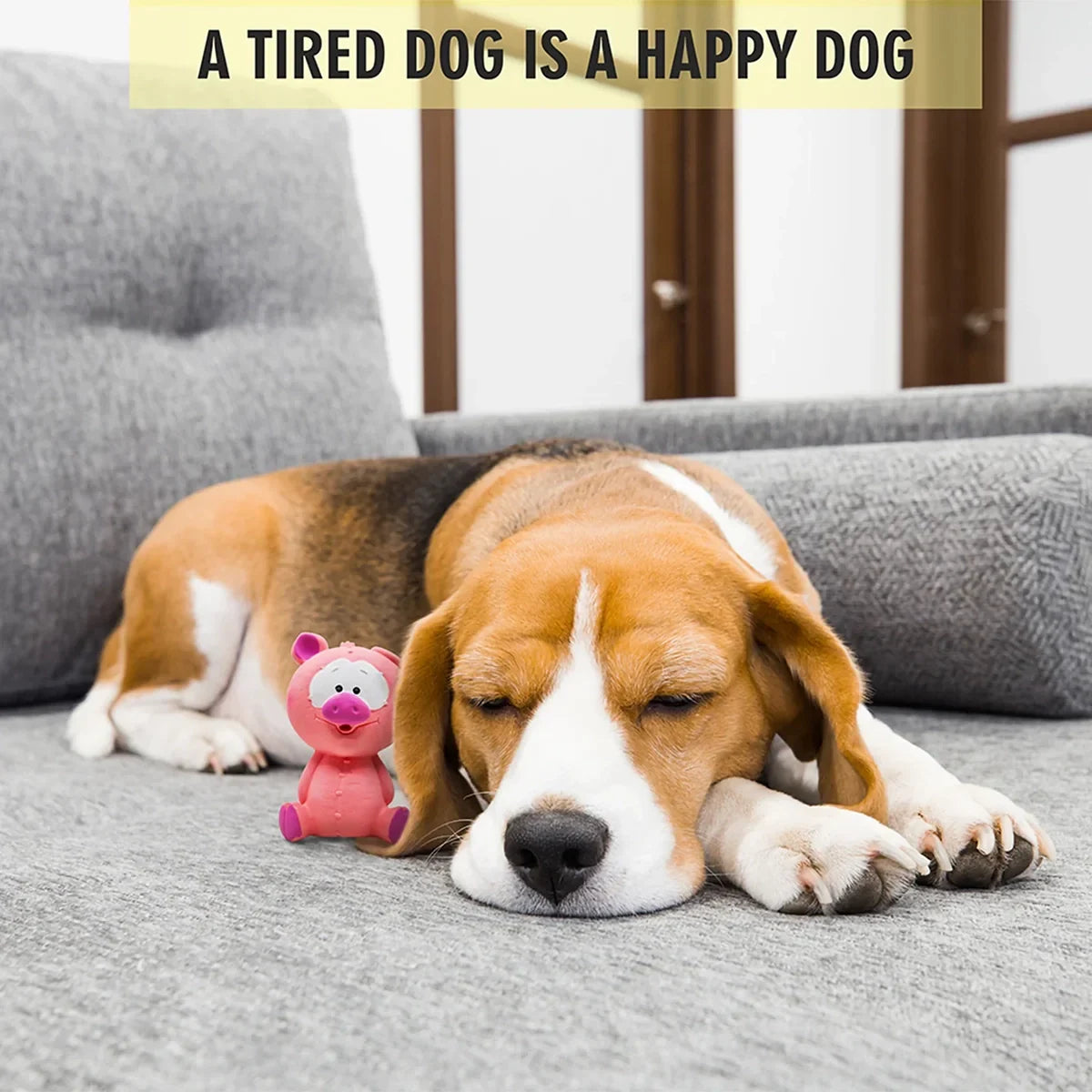 Fofos Latex Bi Pig Squeaky Dog Toy - Zigly