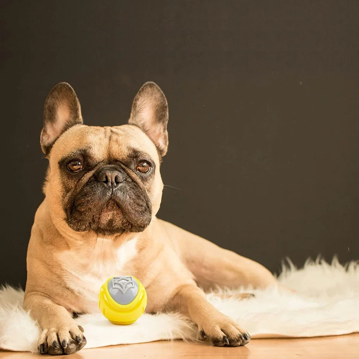 Fofos Flexy Ball Ultra Bounce Fetch Toy - Zigly