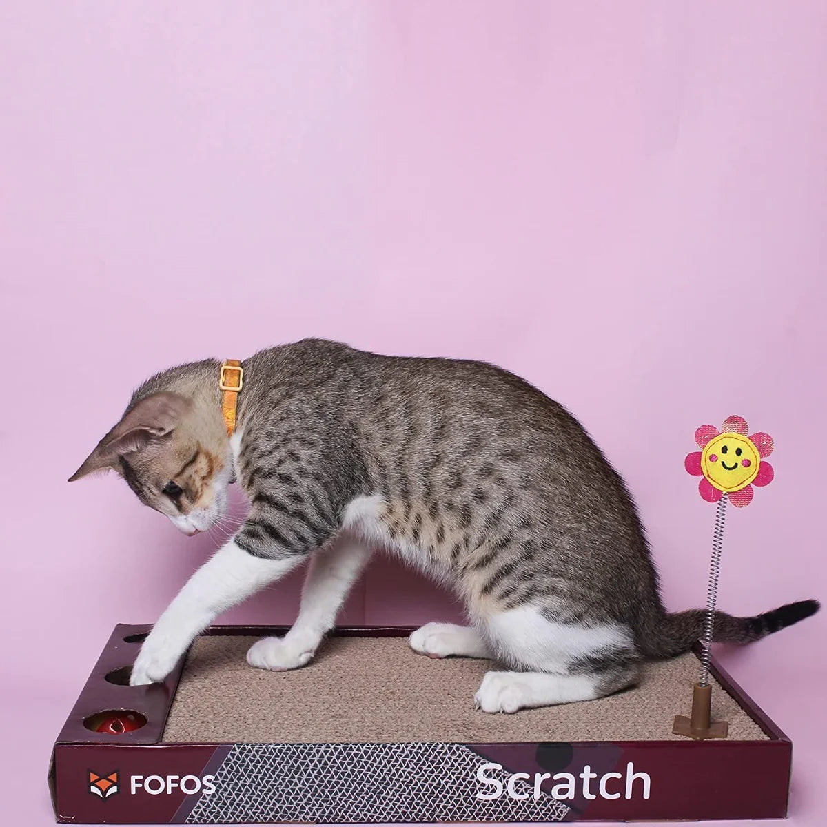 Fofos Rock & Roll Scratcher Interactive Cat Toy - Zigly