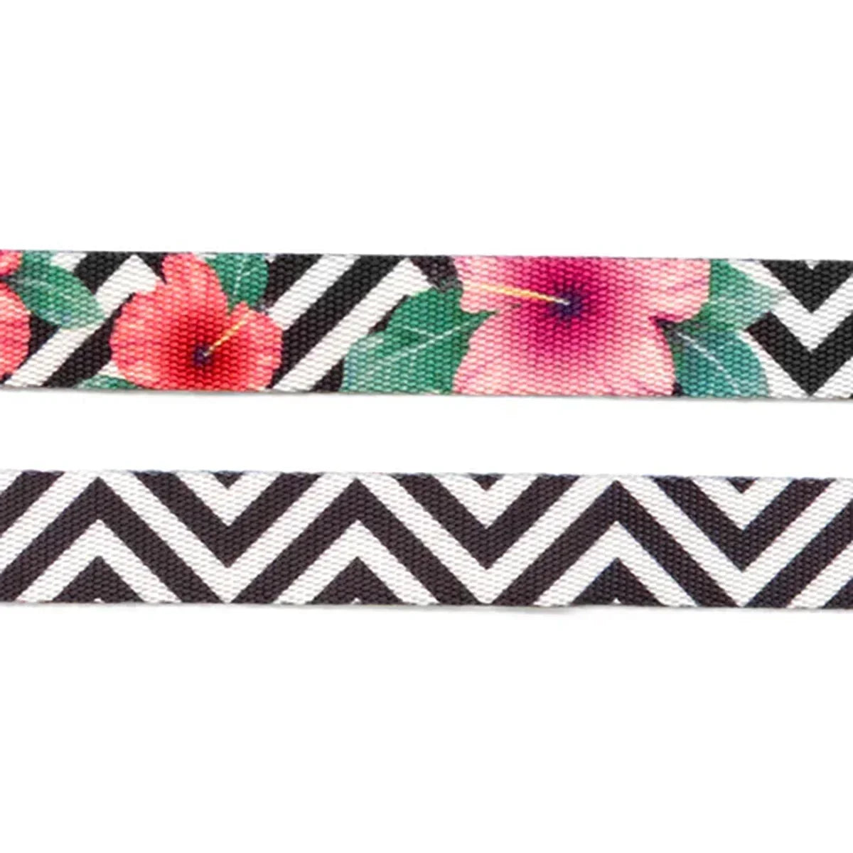 Zee Dog Mahalo Collar - Zigly