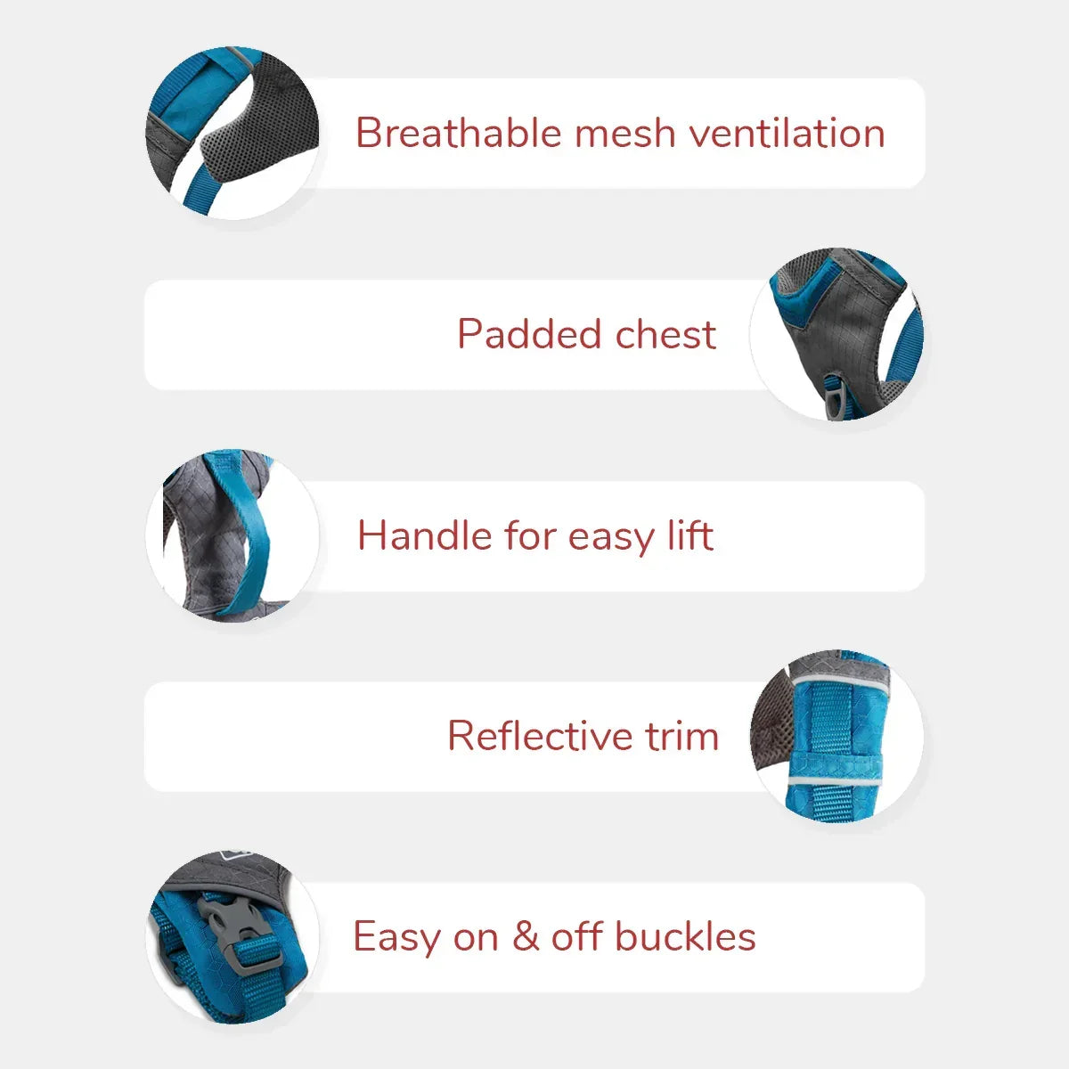 Kurgo Joyful Air Dog Harness - Blue - Zigly