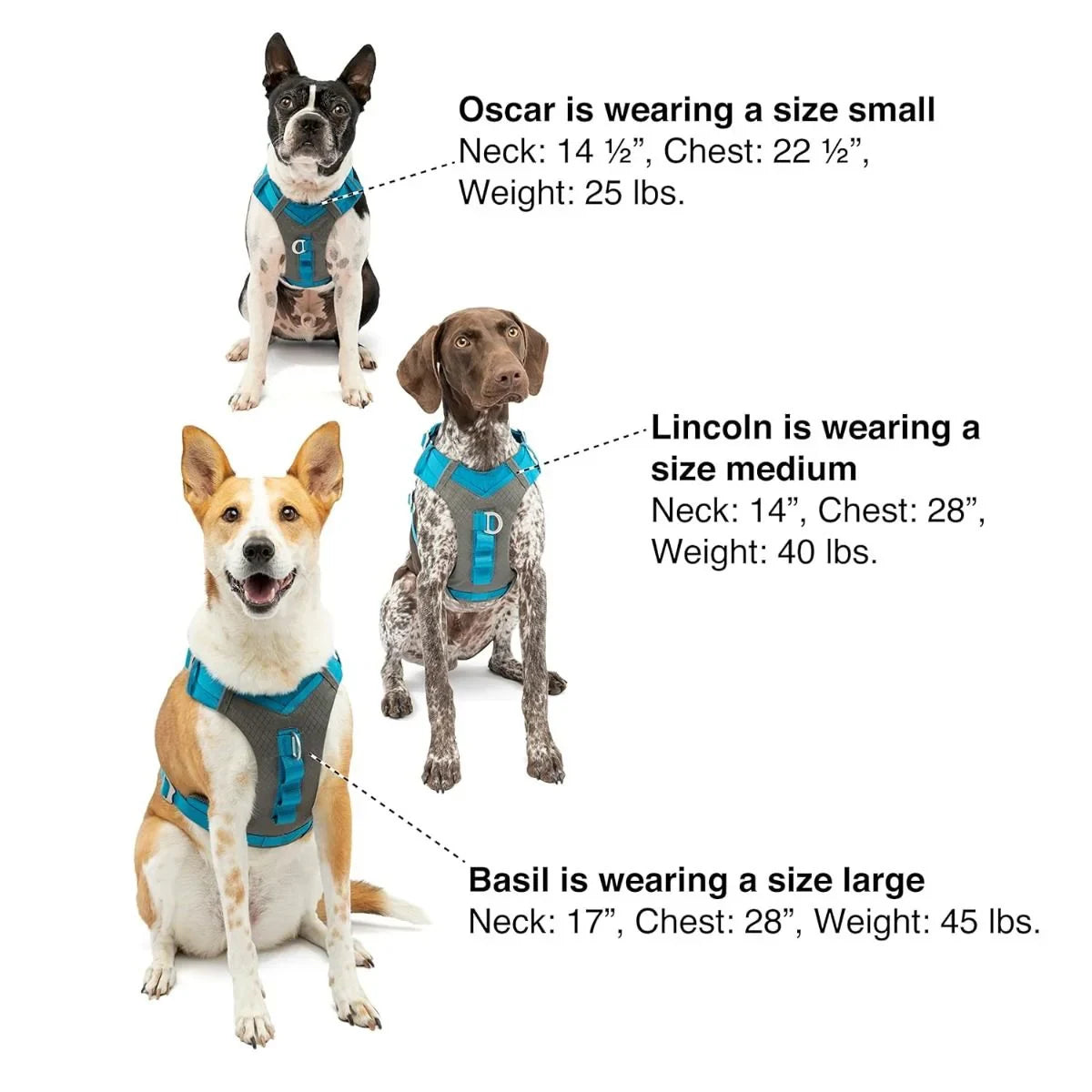 Kurgo Joyful Air Dog Harness - Black - Zigly