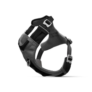 Kurgo Joyful Air Dog Harness - Black - Zigly