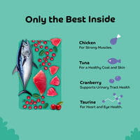 Applod Tuna with Cranberry Cat Treat - 35g - Zigly