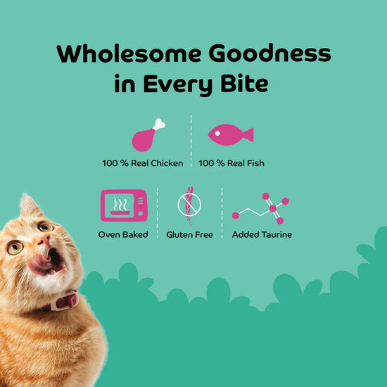 Applod Sardine with Blueberry Cat Treat - 35g - Zigly