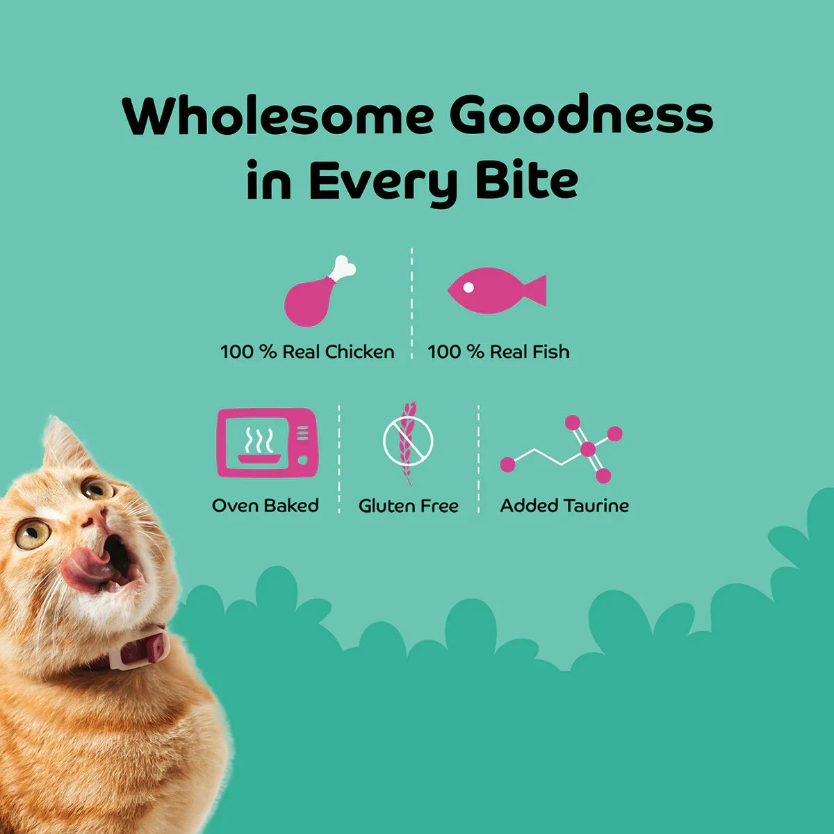 Applod Sardine with Blueberry Cat Treat - 35g - Zigly