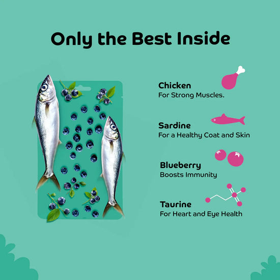 Applod Sardine with Blueberry Cat Treat - 35g - Zigly