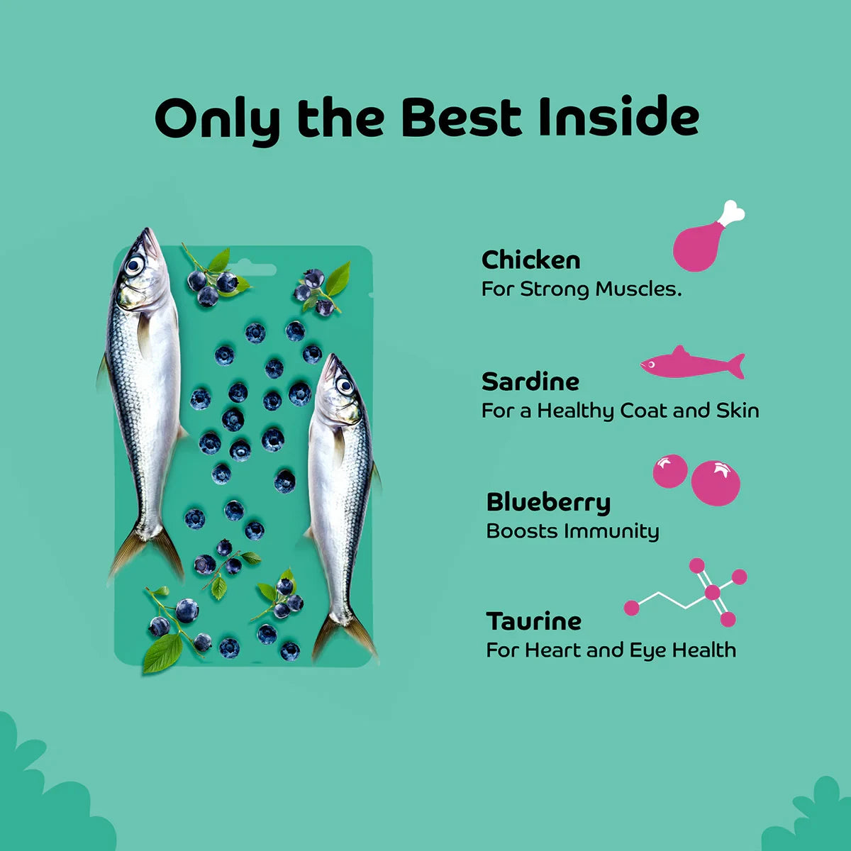 Applod Sardine with Blueberry Cat Treat - 35g - Zigly