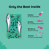 Applod Sardine with Blueberry Cat Treat - 35g - Zigly