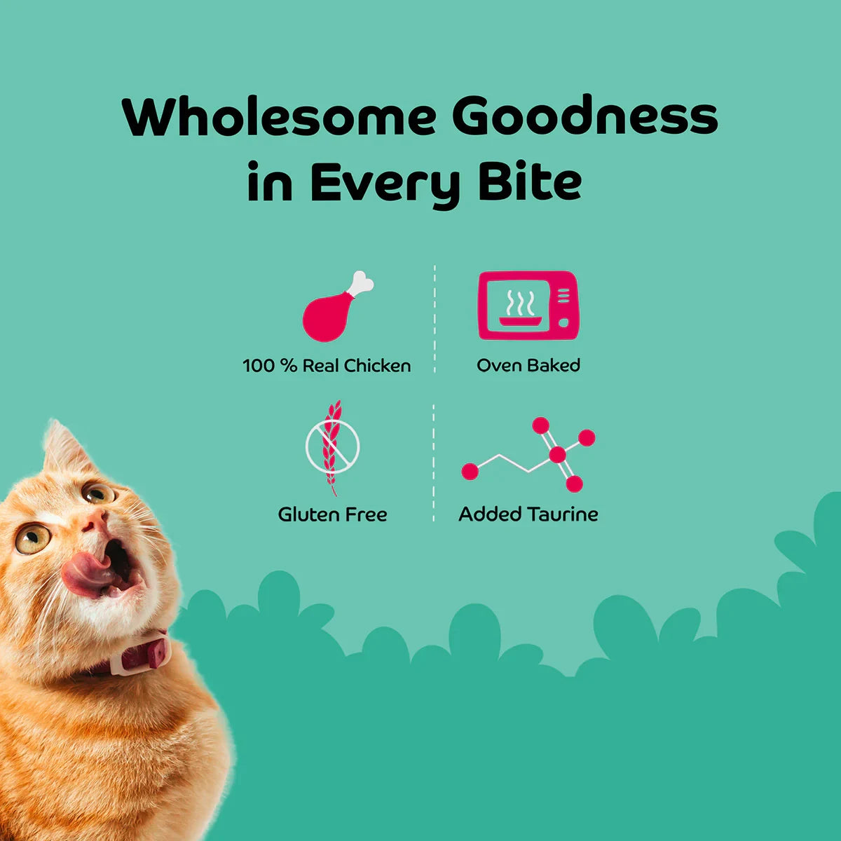 Applod Chicken with Wheat Grass Cat Treat - 35g - Zigly