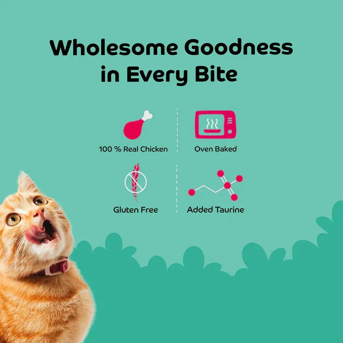 Applod Chicken with Wheat Grass Cat Treat - 35g - Zigly