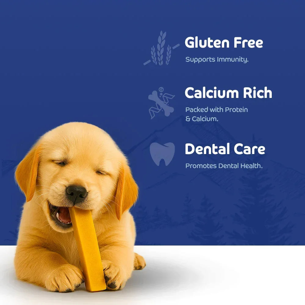 Golden retriever puppy chewing dental chew treat with gluten free, calcium rich benefits by Zigly