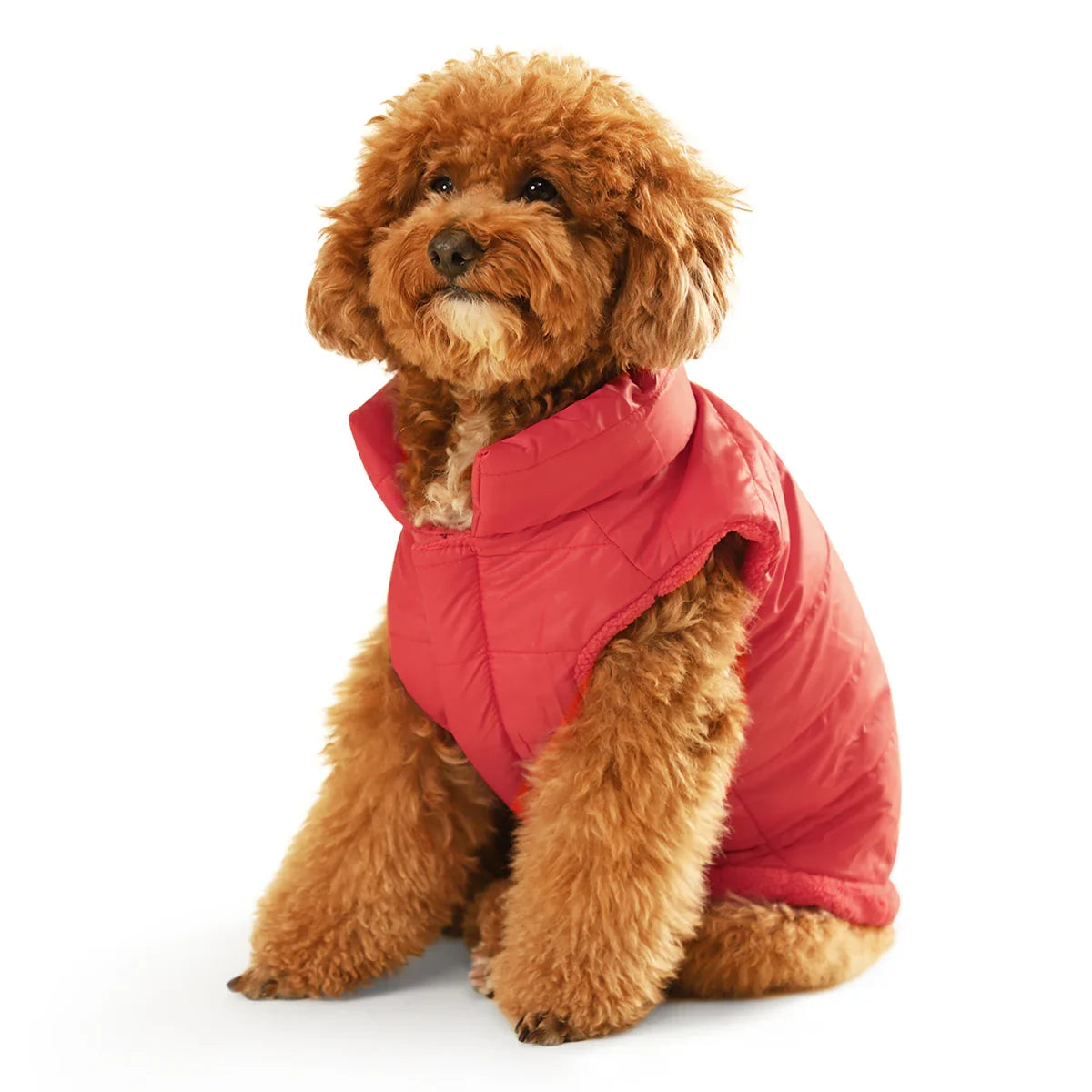 ZL Reversible Ambergini Puffer Dog Jacket - Zigly
