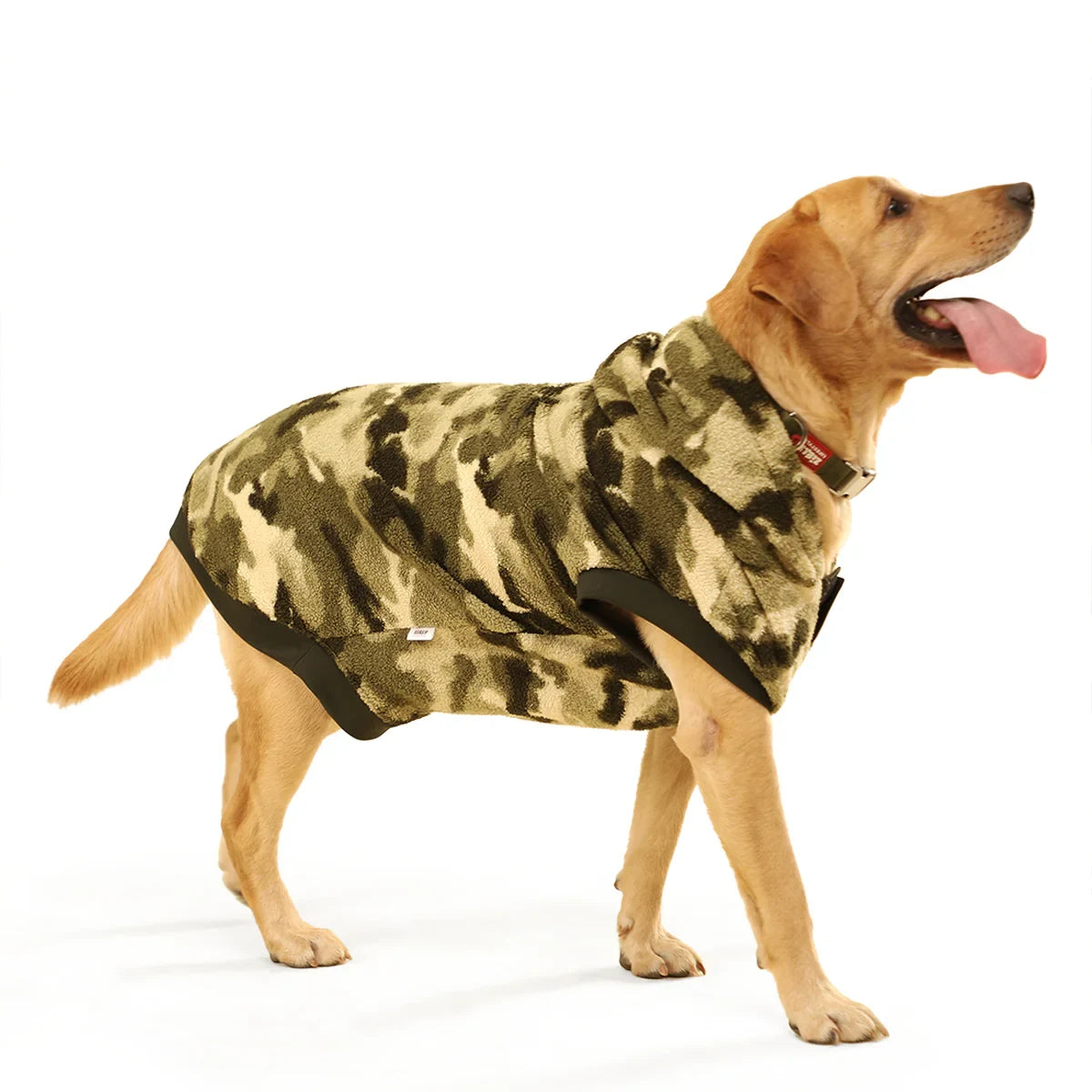 ZL Attitude Teddy Dog Sweatshirt - Zigly