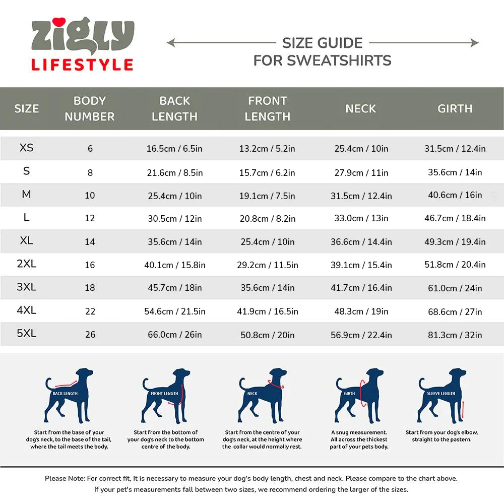 ZL Attitude Teddy Dog Sweatshirt - Zigly