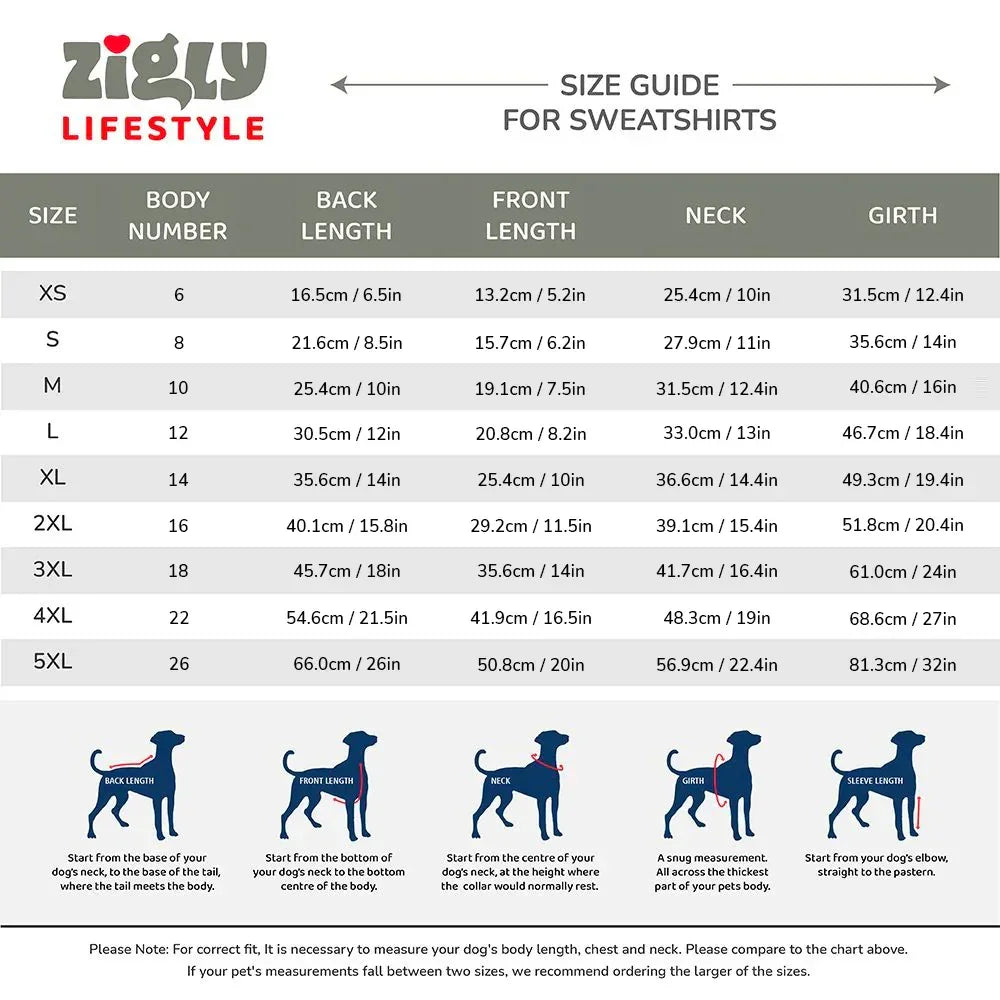 ZL Attitude Teddy Dog Sweatshirt - Zigly