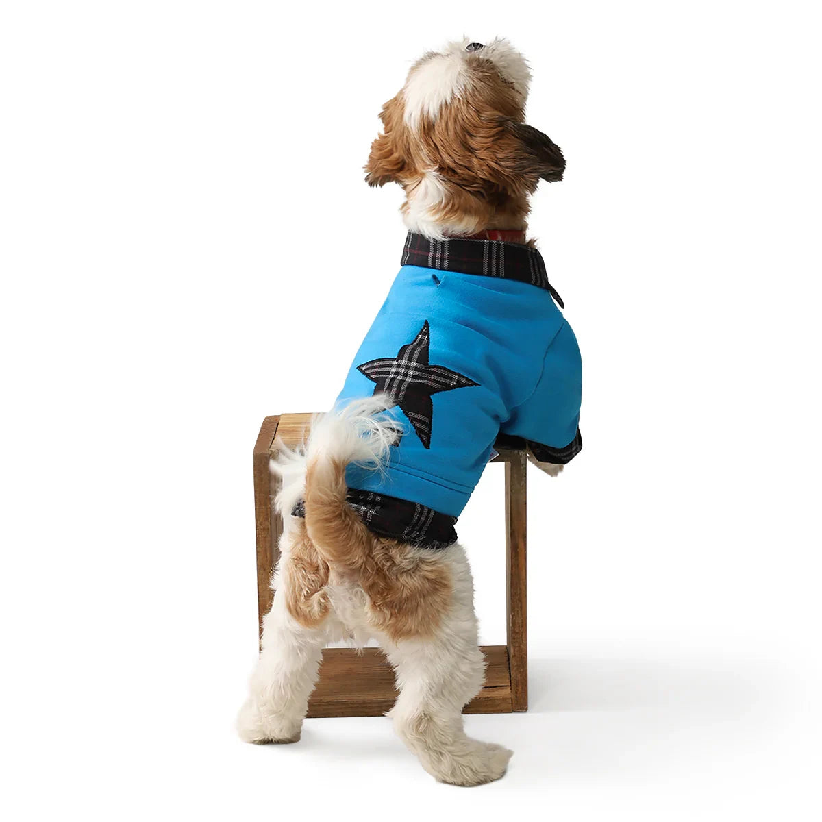 ZL Nighty Warmer with Plaid Check Dog Sweatshirt - Zigly