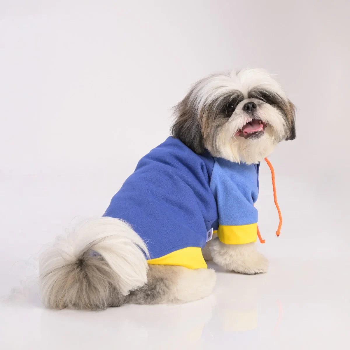 ZL Sandy Vibrant Warmer Hoodie for Dogs - Zigly