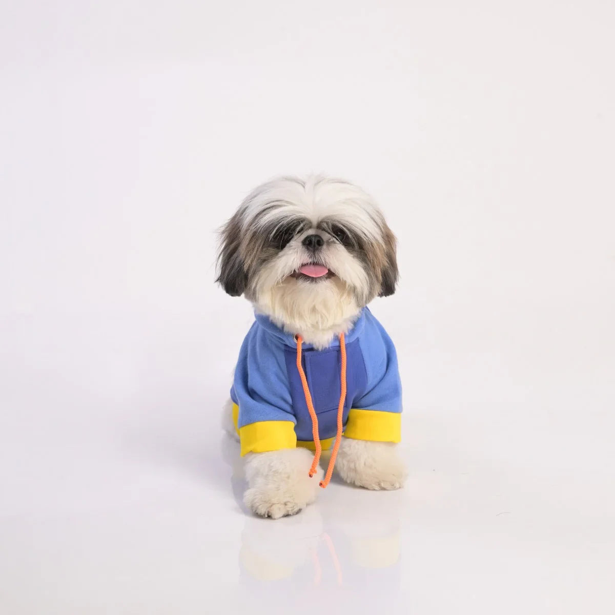 ZL Sandy Vibrant Warmer Hoodie for Dogs - Zigly