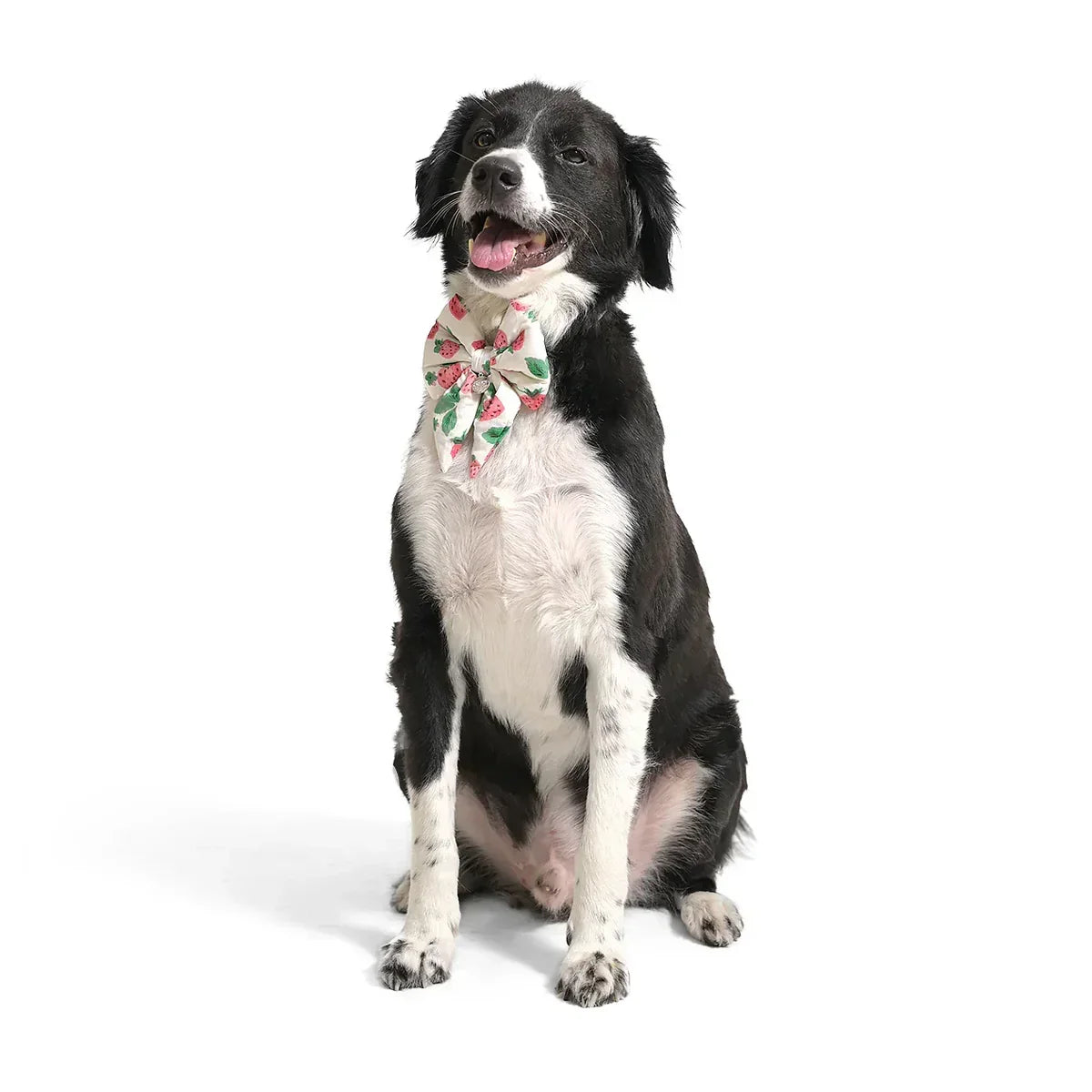 ZL Strawberry Dream Ribbon Bow-Tie For Dog Days-M-(9cm) - Zigly
