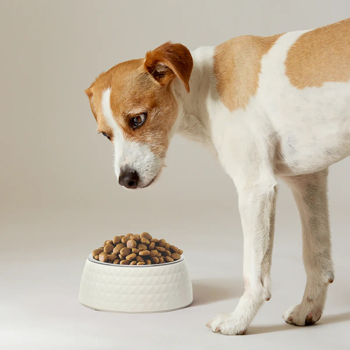 ZL Retro Pyramid Jasmine Melamine Dog Bowl - Zigly