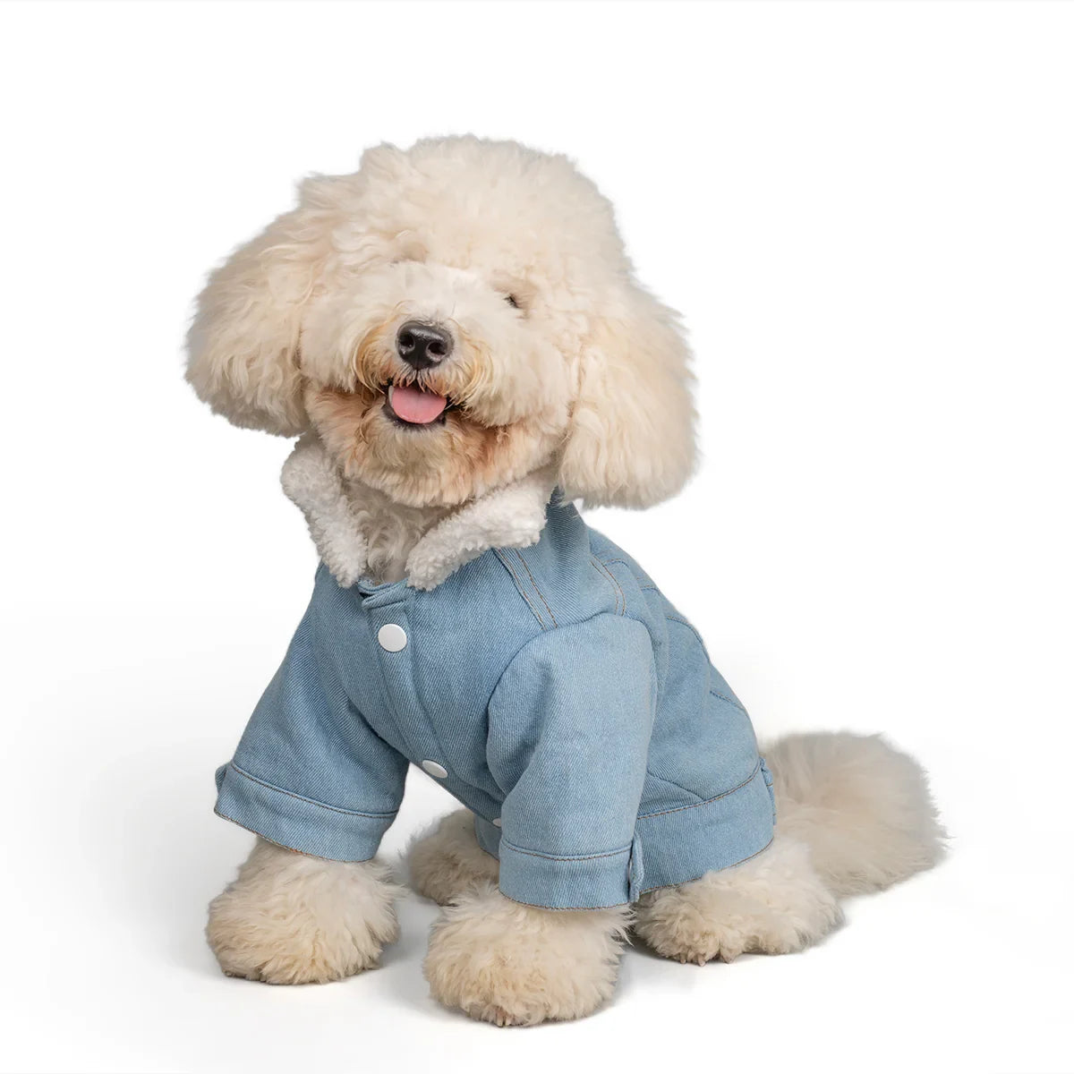 Zl Winterized Denim - Sherpa Dog Jacket Blue - Zigly